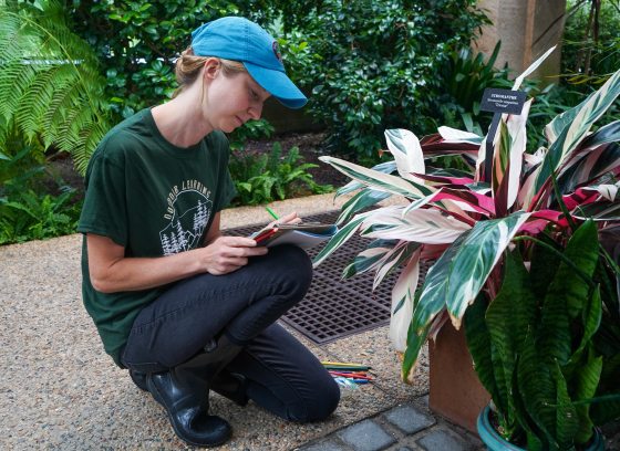 Woman kneels to observe and draw a plant in the Conservatory. 