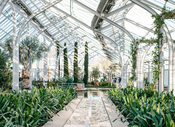 Sun streams through the ceiling and windows of a glass house, creating patterns of light and shadow on the plants and water features inside.