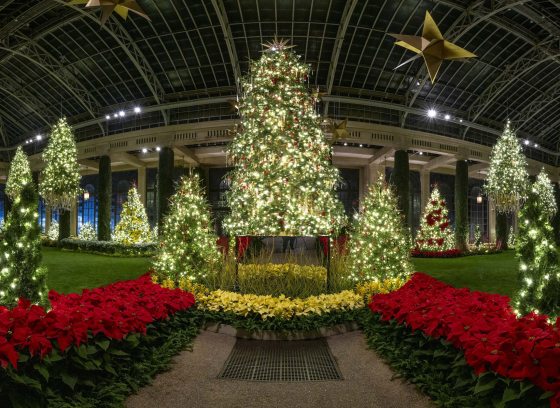 A tall lit tree stands on a pedestal in a central conservatory walkway, surrounded by red and white poinsettias, other Christmas trees—some of which are suspended—and gold stars.