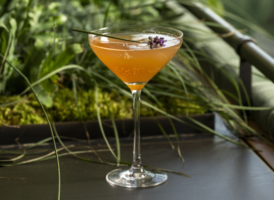 Closeup of amber colored cocktail in stemmed glass, topped with purple floral sprig.