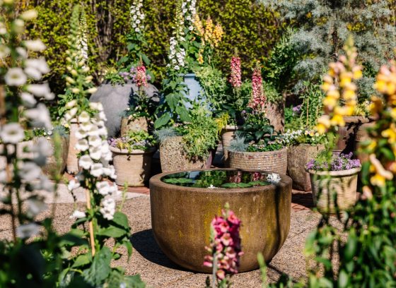 An outdoor hardscaped space containing a variety of spring floral containers.