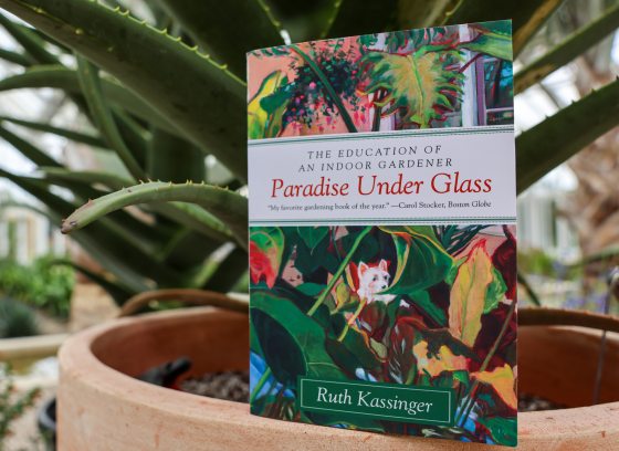 A colorful book entitled "Paradise Under Glass" is perched on the rim of a large clay pot containing a tropical plant.
