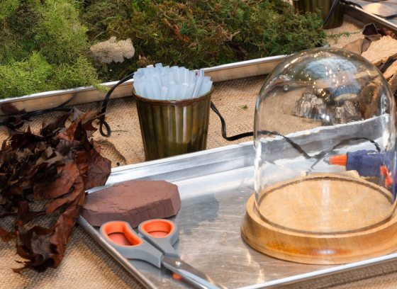 Materials on a table to create a cloche.