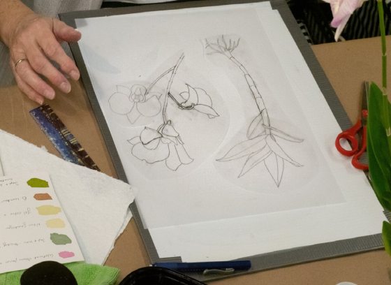 A person working on a pencil illustration of an orchid. 