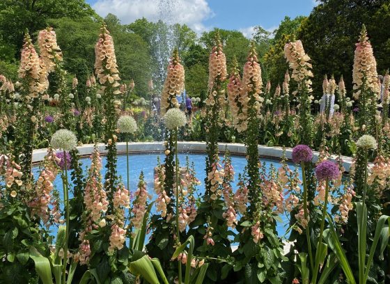 Spring flowers in a variety of heights surrounding a circular fountain.