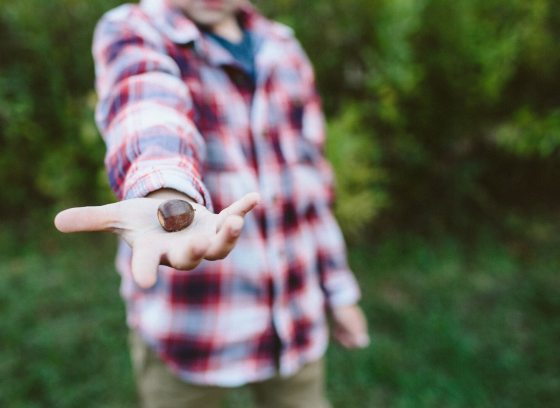 An outstretched arm of a child showing an acorn in the palm of their hand.