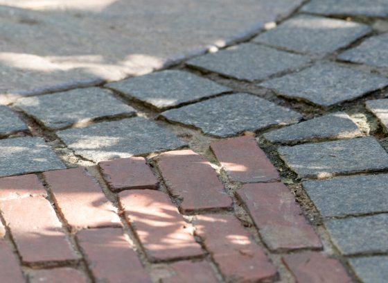 A red and gray close up of a brick path.