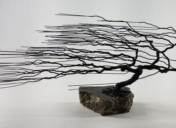 A side swept bonsai made out of black wire. 