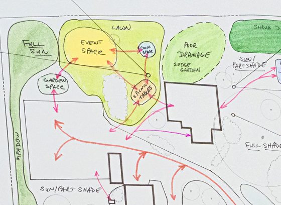 An illustrated planting plan for a garden.