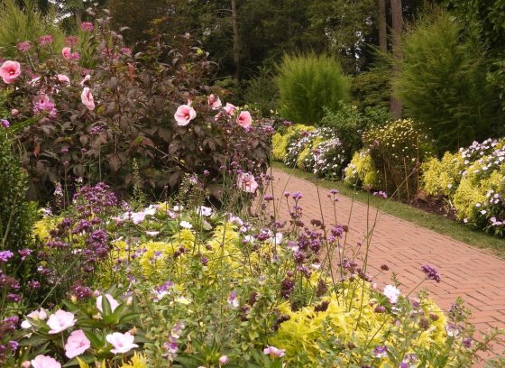 An outdoor garden featuring late summer blooms and a brick path way in the center.