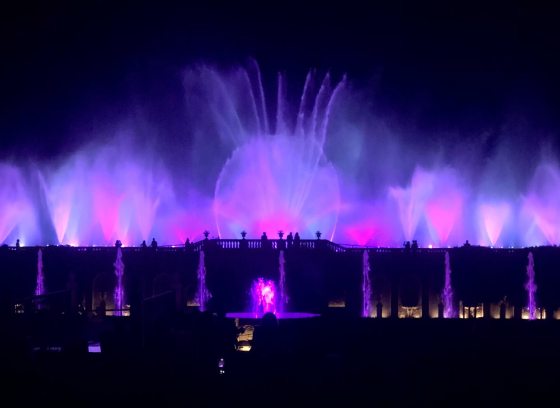 Large fountain display in pink and purple against a black night sky.