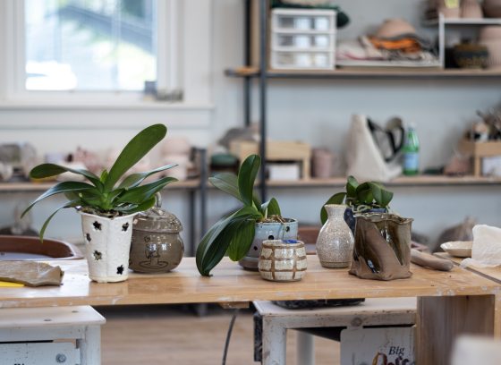 Clay pots on a table planted with orchids