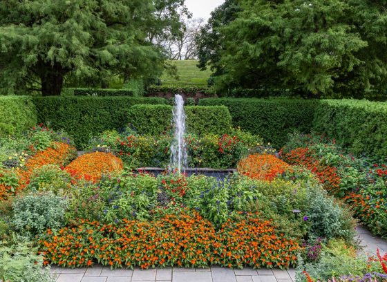 A square garden, with a square fountain in the center, and lush garden beds surrounding it, featuring orange and red blooms. 