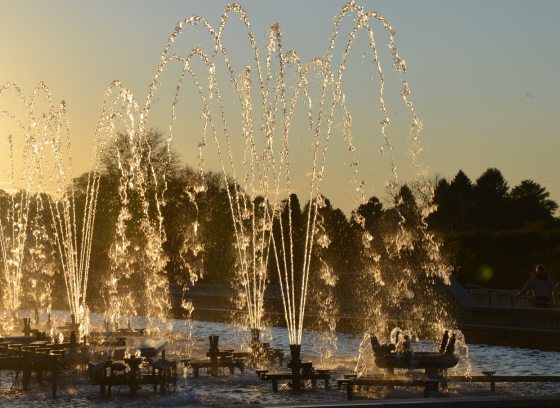 A row of fountains, spraying water up in the air, at sunset.