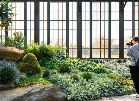 A person inside a conservatory taking photos of plants. 