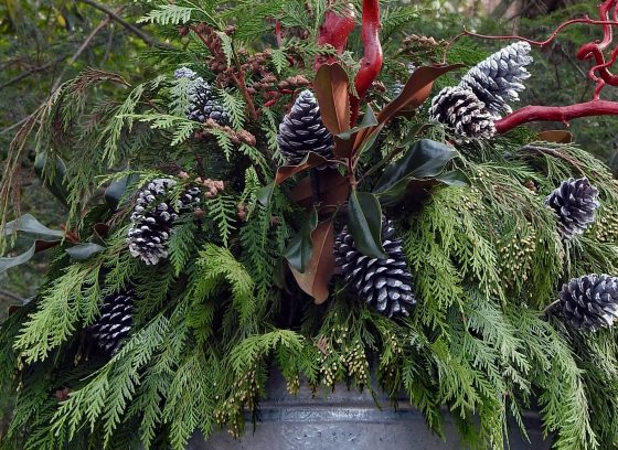 Closeup of outdoor metal planter filled with greens, pine cones, and bright red branches.