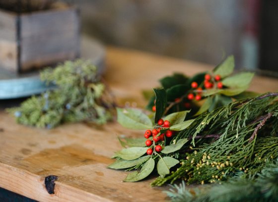Holiday floral materials, like red berries, evergreen branches, and such laying on a wood table.