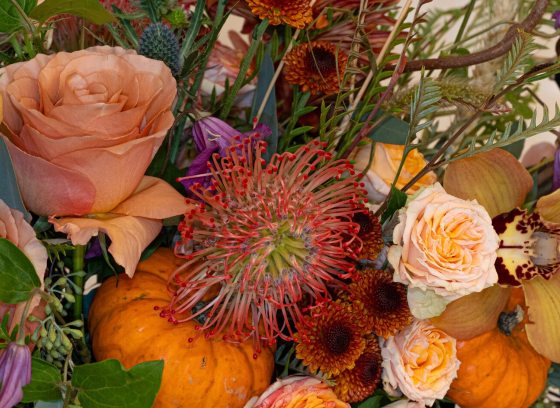 A fall floral arrangement, with peach and rust colored blooms, and mini pumpkins spread throughout.