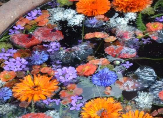 A variety of purple, organce and white flowers floating in a pot filled with water.