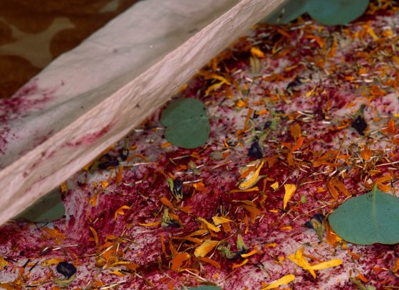 Petals and pieces of plants laid on a table, with a piece of fabric to dye,