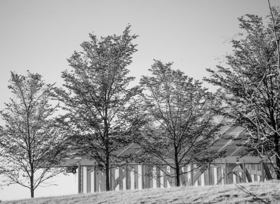 A black and white image of the conservatory landscape at Longwood Gardens.