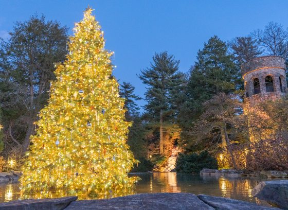 Stone carillon tower lit up at night, with a large lit Christmas tree in the foreground