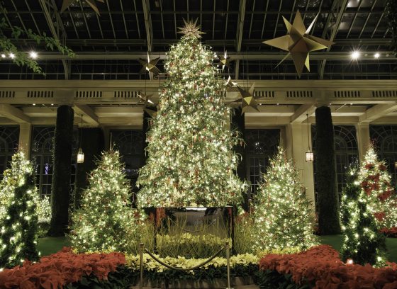 The Christmas display at Longwood Gardens, featuring decorated trees in inside the Conservatory.