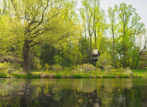 Spring-green trees and a treehouse reflect in the water of a lake.