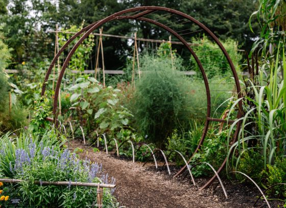 Diagonal view of a vegetable and flower garden in full bloom, with small hoops along the border of a garden path, and 2 large connected hoops across the path, through which people can walk.