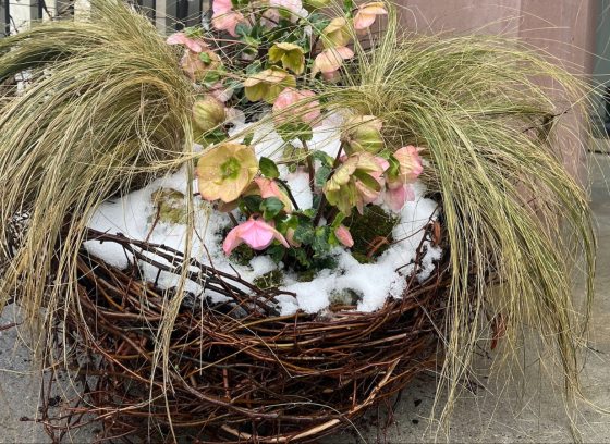 grass and flowers planted in a bird's nest-inspired container