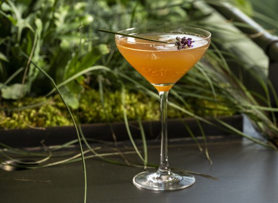 A close-up of a cocktail in a stemmed martini glass, featuring an orange or amber-colored liquid. The drink is garnished with a small sprig of lavender or herb. It sits on a dark surface, with a lush, out-of-focus background of green foliage, moss, and tall grasses, suggesting a garden or natural setting.