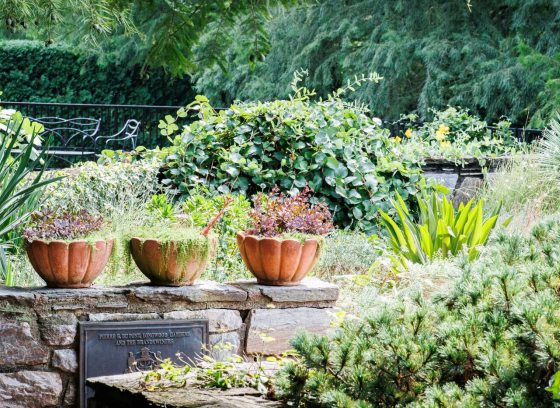 A close-up of a stone garden wall with three terracotta pumpkin-shaped planters sitting on the top ledge. A small, dark plaque is mounted on the wall below the planters. The background features various textures of green foliage, including ivy, shrubs, and ornamental grasses.