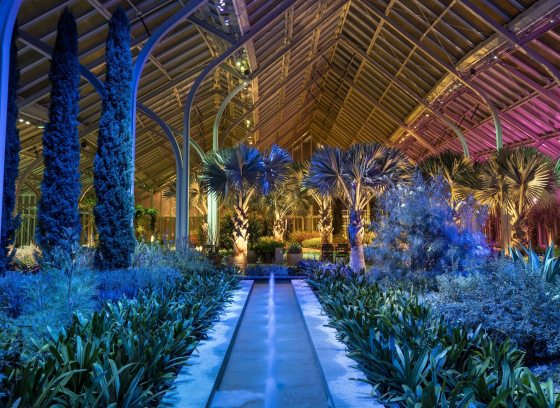 Indoor conservatory with tropical plants and soaring arches, lit with blue, gold, fuchsia.