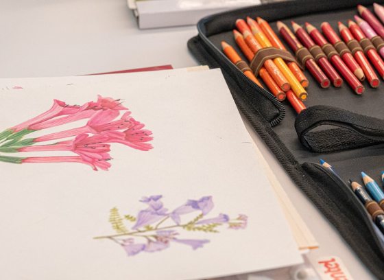 A black zippered pencil case is open next to the drawings, neatly organizing a large collection of colored pencils in various shades of orange, red, pink, and blue.