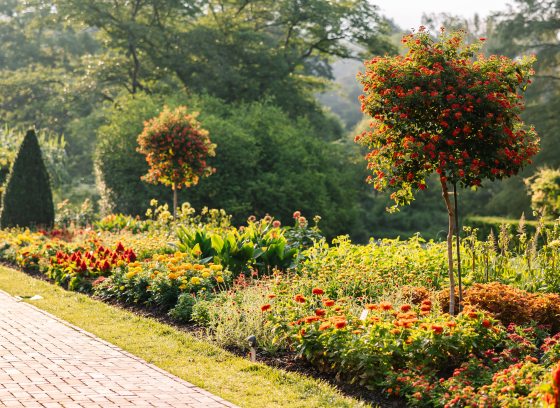 Diagonal view down an outdoor brick garden walkway, bordered by colorful flower beds, two flowering trees, and a cone-shaped topiary at the far end.