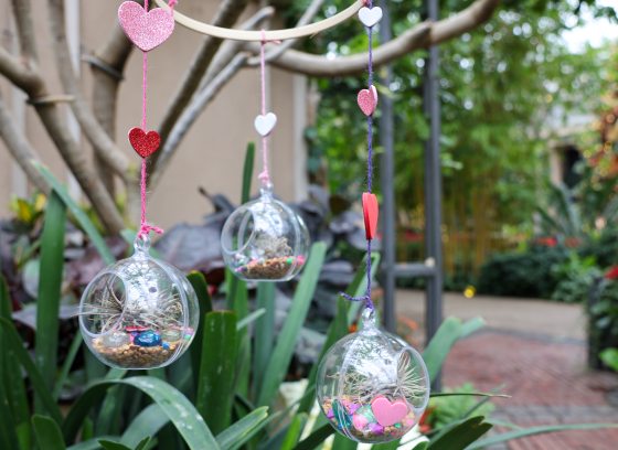 Mobile made during the Bubble Botanics Class