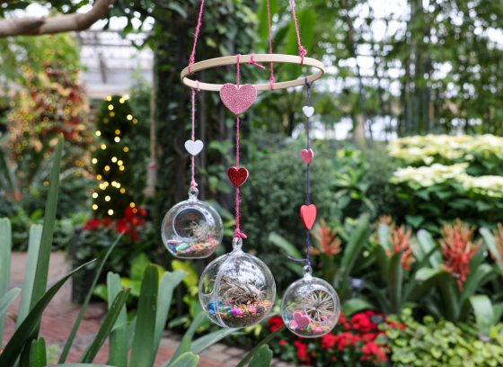 Mobile made during the Bubble Botanics Class