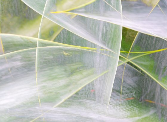 An abstract photo of palm leaves and plant material. 