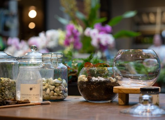 A wood table with a glass bowl, dried moss, and plant supplies on top.