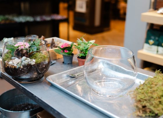 A steel table with a glass bowl, dried moss, and plant supplies on top.