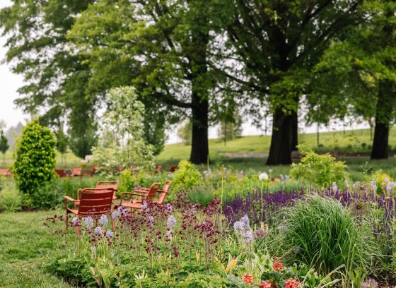 A serene landscape with tall oak trees, orange chairs, and lush garden beds. 