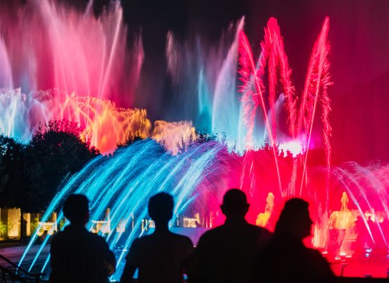 Four foreground silhouettes watch a nighttime fountain show in red, blue, and gold