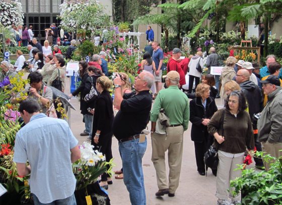 People browse among indoor blooms and foliage on a sunken garden floor