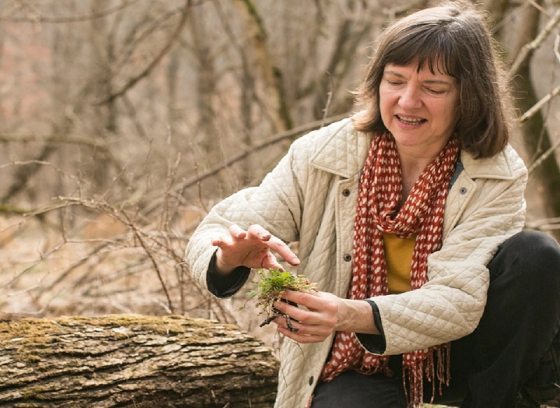 A person kneeling down in an early spring forest, foraging on the ground.