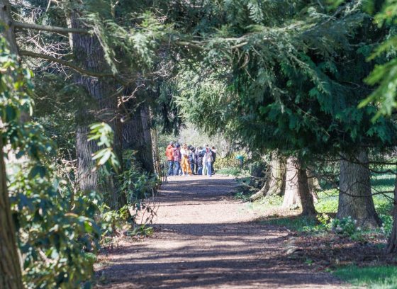 A mulched pathway, with large trees lining each side. At the end is a group of people. 