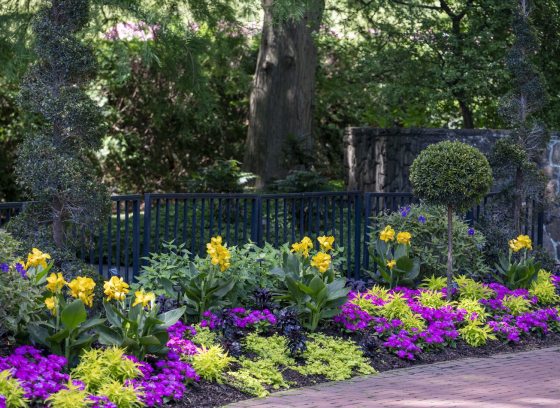 A brick patio, featuring a garden along the edge with purple and yellow flowers. 
