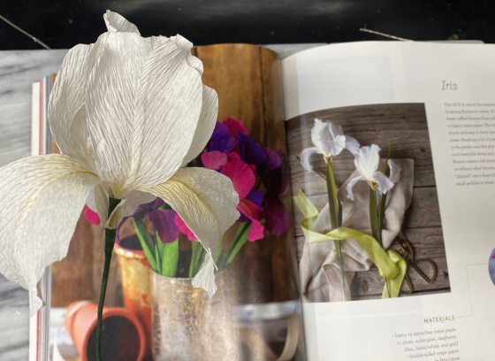 A white paper iris held in front of an open book.