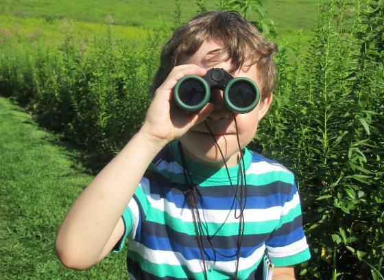Boy in the Meadow Garden with binoculars on his eyes facing the camera 