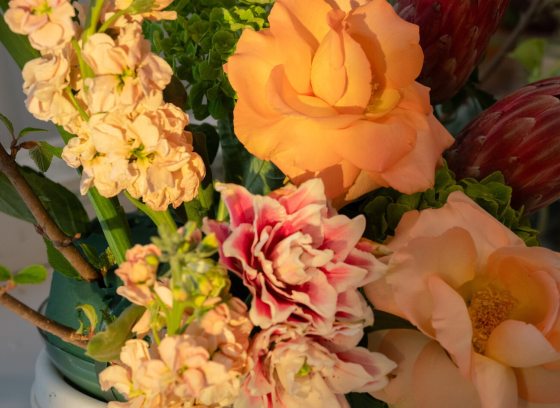 A detailed floral centerpiece showcasing peach-colored roses, pale pink stock, and deep red protea blooms in a green floral foam base.