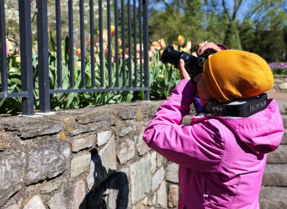A person in a pink jacket and yellow hat, photographing flowers behind a black fence. 